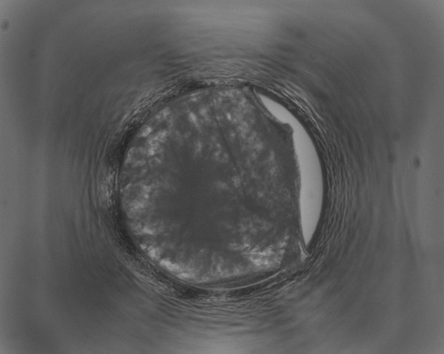 X0000087320503200705181014