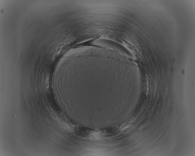 X0000087320504200705181014