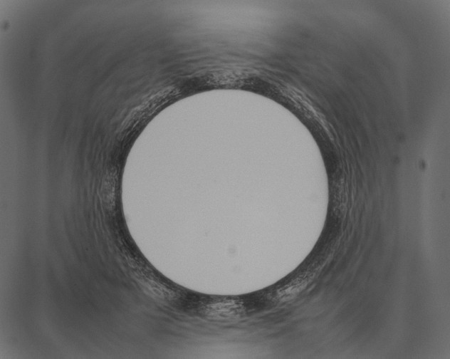 X0000087320505200705181014