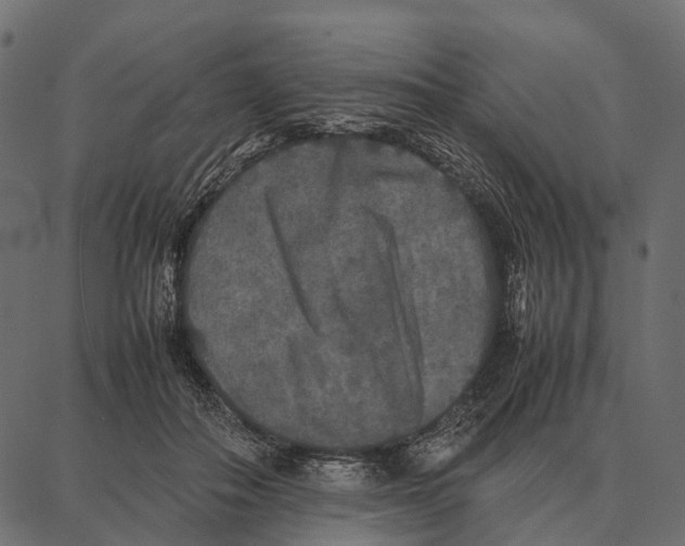 X0000087320506200705181014