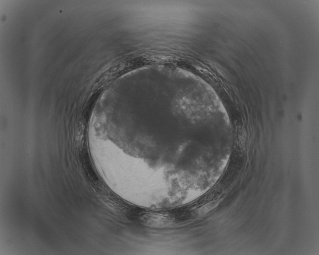 X0000087320507200705181014