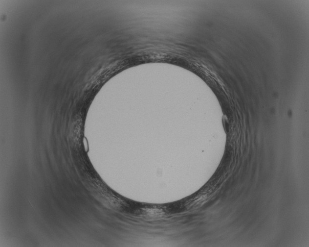 X0000087320509200705181014