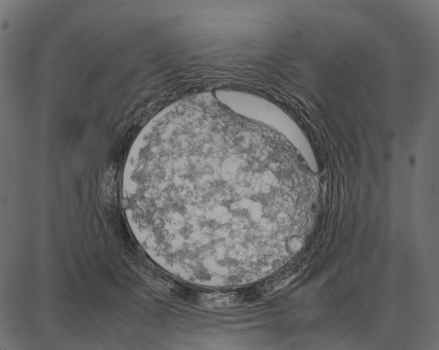 X0000087320511200705181014