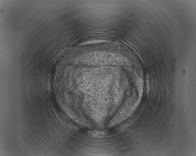 X0000087320512200705181014