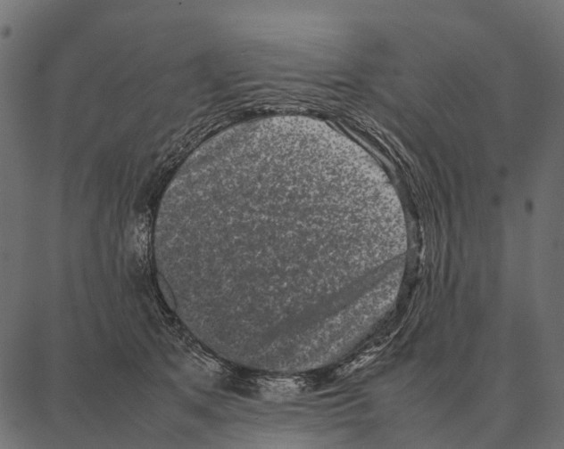 X0000087320513200705181014