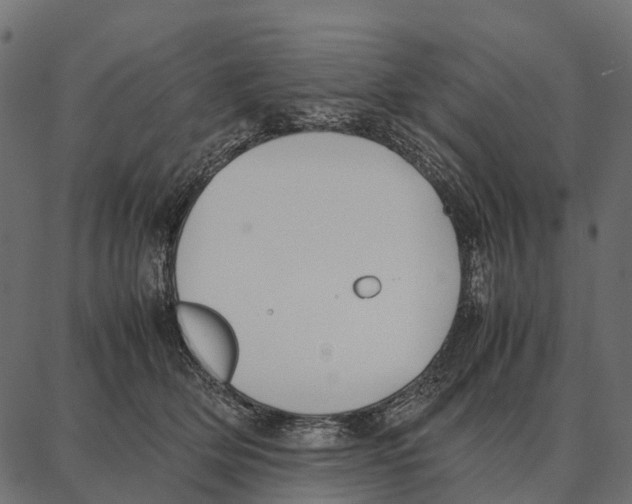 X0000087320514200705181014