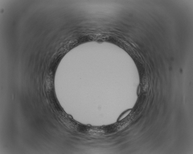 X0000087320515200705181014