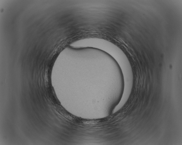 X0000087320516200705181014