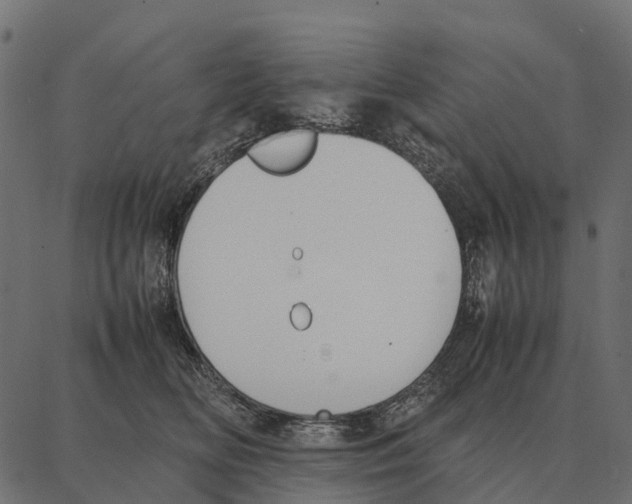 X0000087320518200705181014