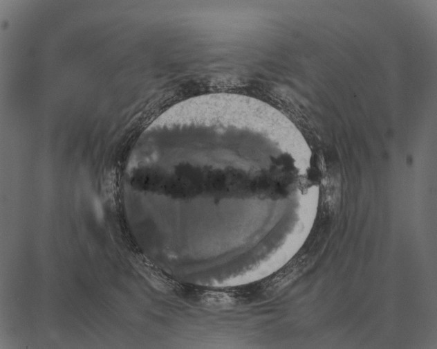 X0000087320519200705181014