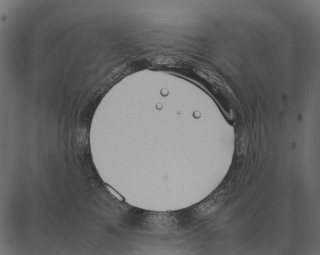 X0000087320521200705181014