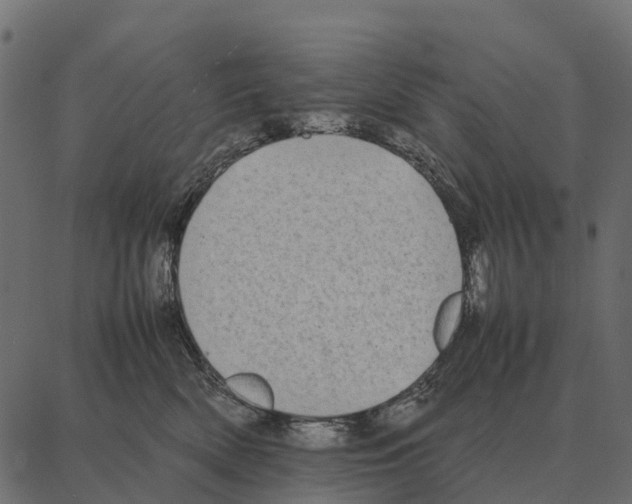 X0000087320522200705181014