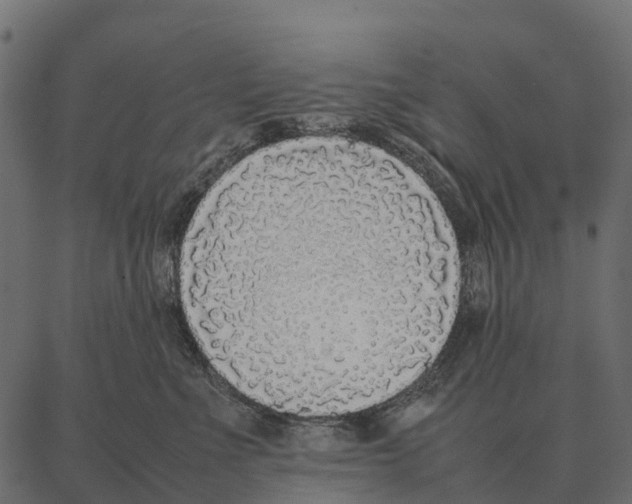 X0000087320523200705181014