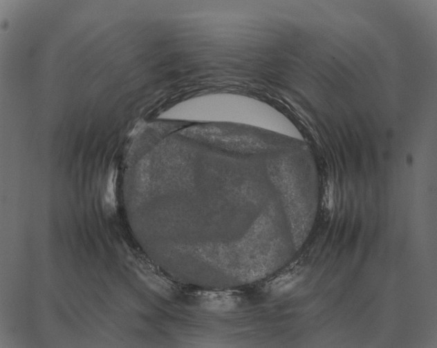 X0000087320524200705181014