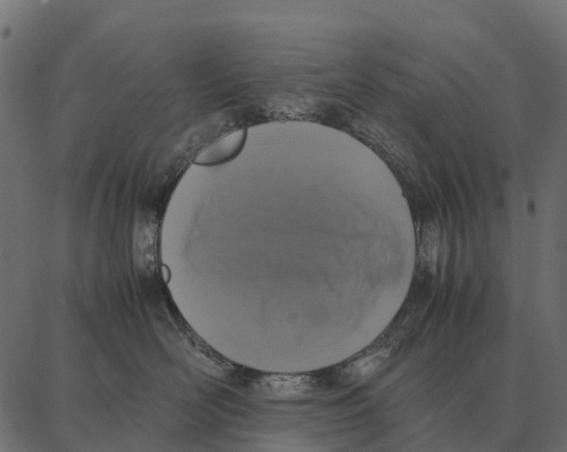 X0000087320526200705181014