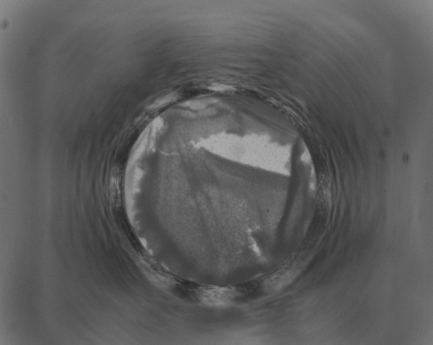 X0000087320527200705181014