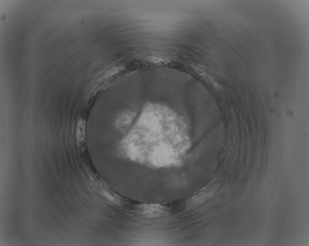 X0000087320528200705181014