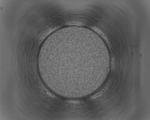 X0000087320529200705181013