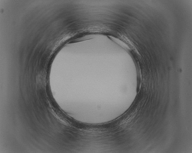 X0000087320530200705181013