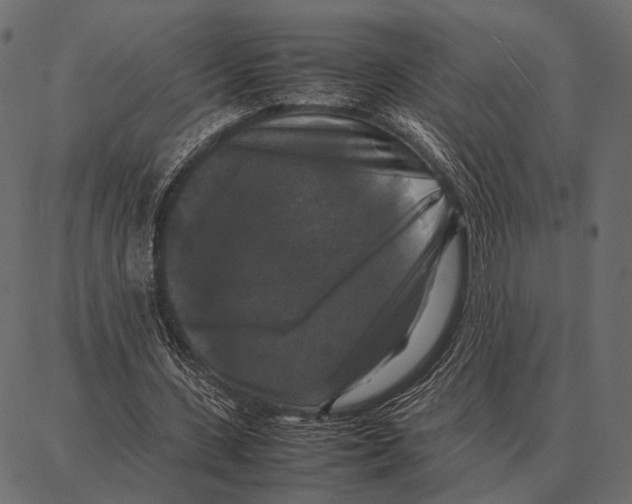 X0000087320531200705181013