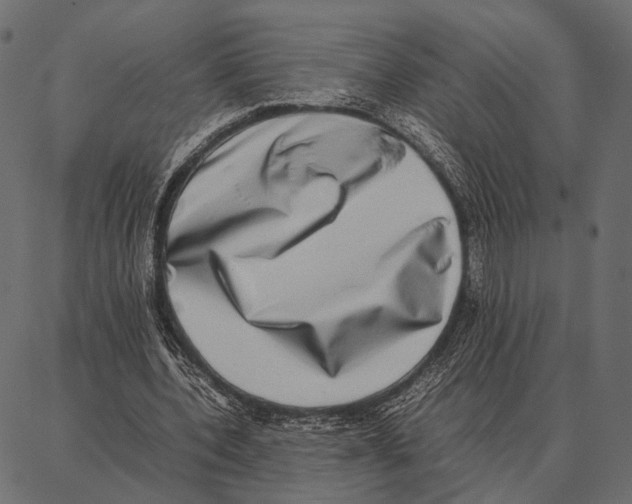 X0000087320532200705181013