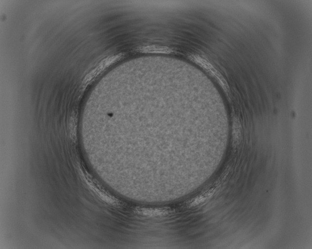 X0000087320533200705181013