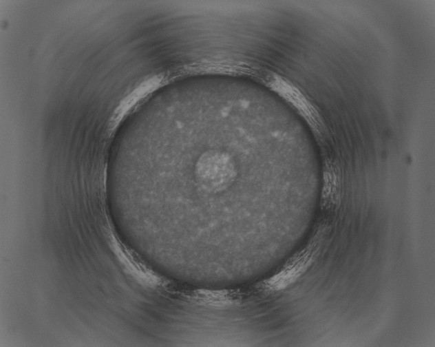 X0000087320534200705181013