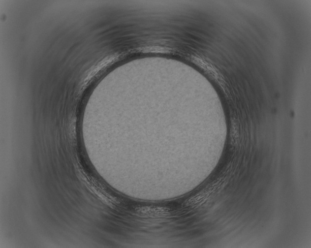 X0000087320535200705181013