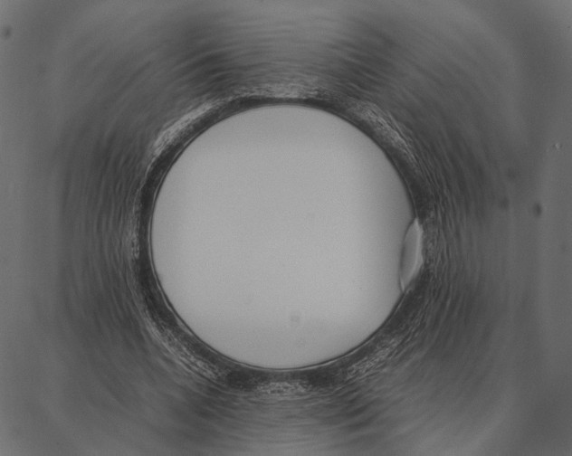 X0000087320536200705181013