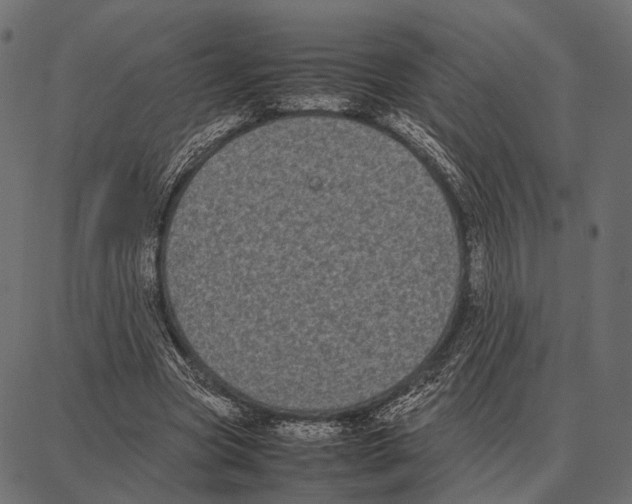 X0000087320537200705181013