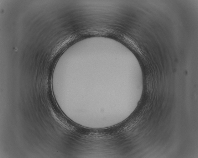 X0000087320538200705181013