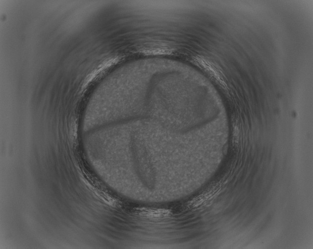 X0000087320539200705181013