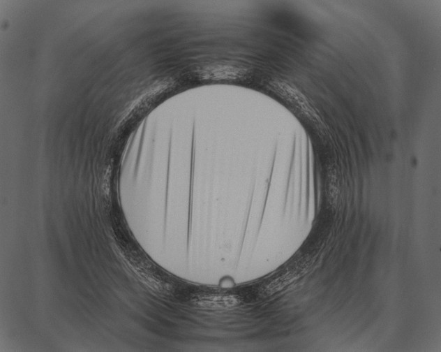 X0000087320543200705181013