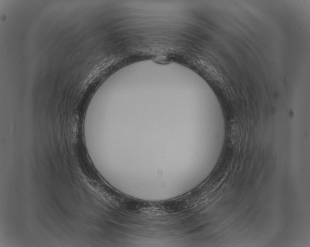 X0000087320544200705181013