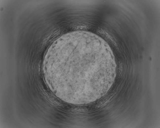 X0000087320545200705181013