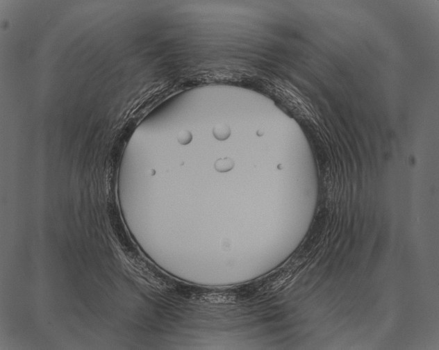 X0000087320546200705181013