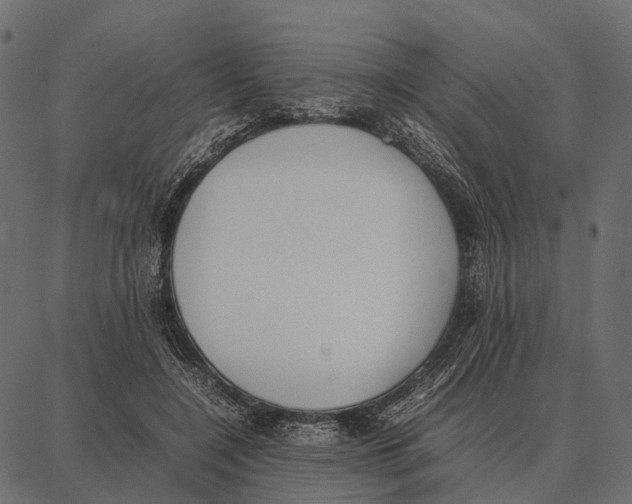 X0000087320548200705181014