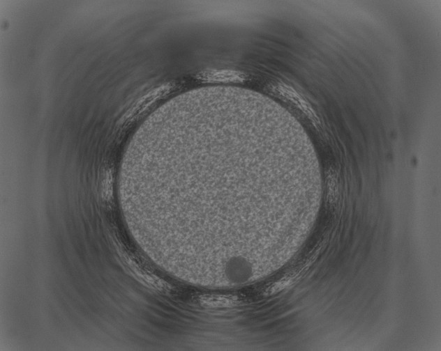 X0000087320549200705181014