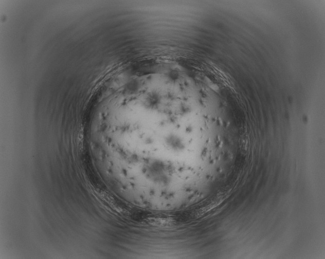 X0000087320552200705181014