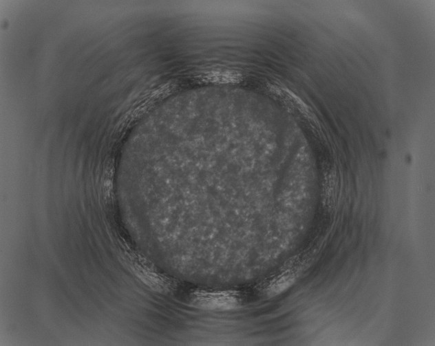 X0000087320553200705181014