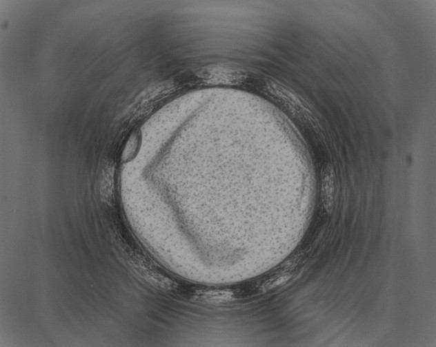 X0000087320554200705181014