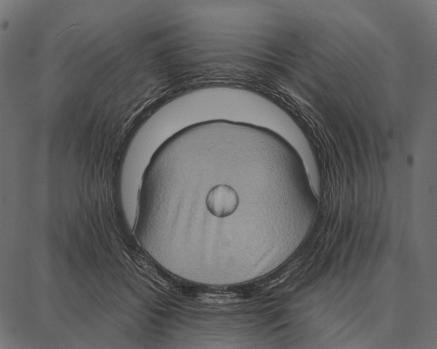 X0000087320556200705181014