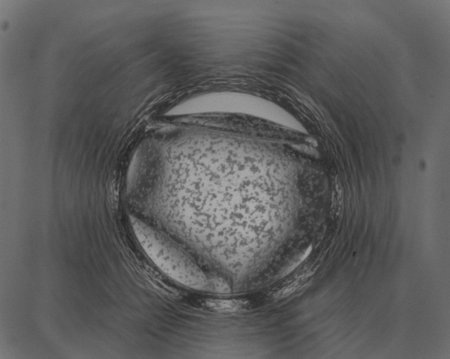 X0000087320558200705181014