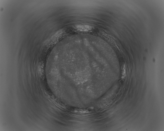 X0000087320559200705181014