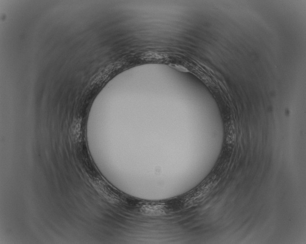 X0000087320560200705181014