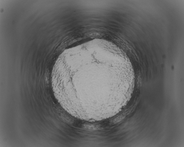 X0000087320561200705181014