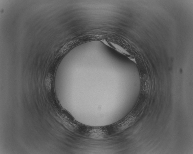 X0000087320562200705181014