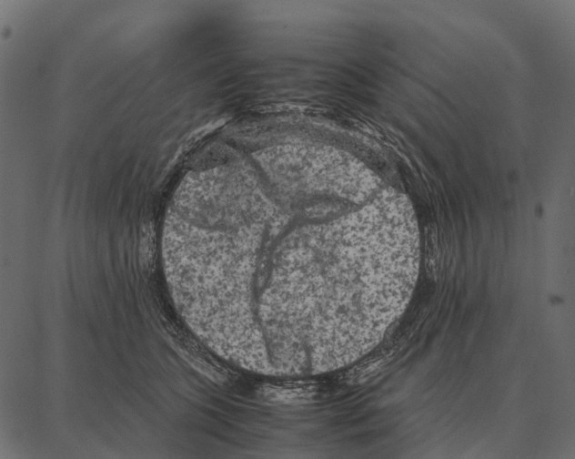 X0000087320563200705181014