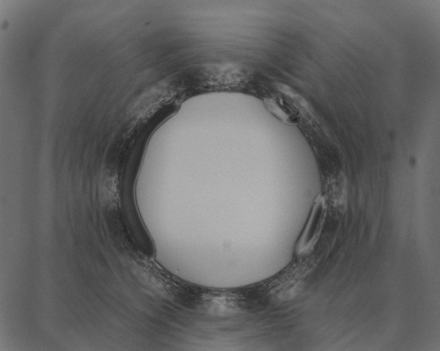 X0000087320564200705181014