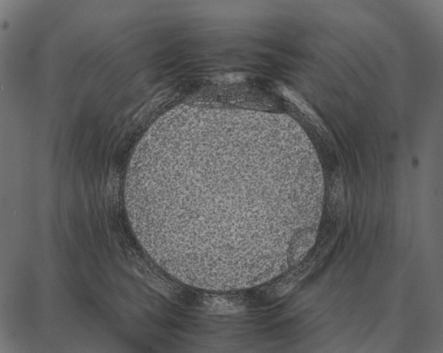 X0000087320565200705181014